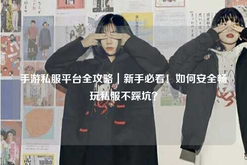 手游私服平台全攻略｜新手必看！如何安全畅玩私服不踩坑？