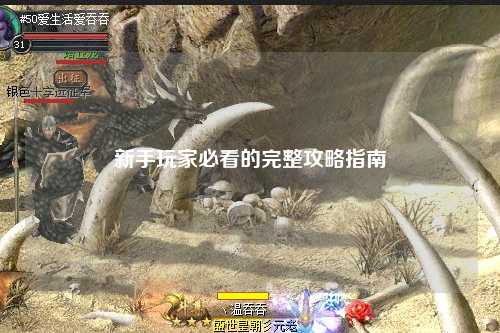 新手玩家必看的完整攻略指南