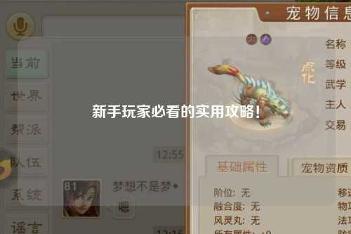 新手玩家必看的实用攻略！