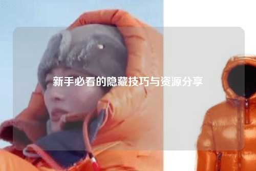 新手必看的隐藏技巧与资源分享