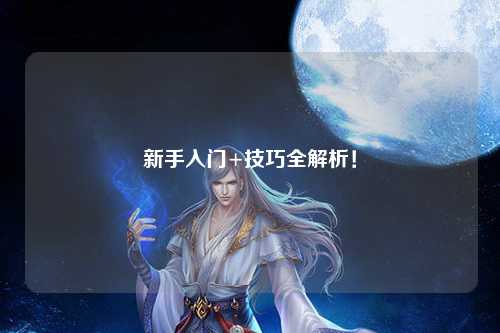 新手入门+技巧全解析!
