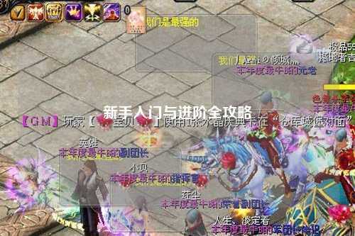 新手入门与进阶全攻略