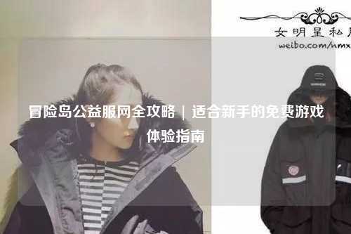 冒险岛公益服网全攻略 | 适合新手的免费游戏体验指南