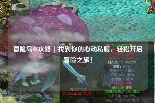 冒险岛SF攻略 | 找到你的心动私服,轻松开启冒险之旅!