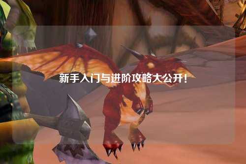 新手入门与进阶攻略大公开!