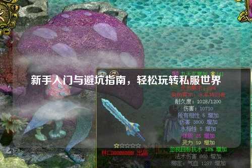 新手入门与避坑指南,轻松玩转私服世界