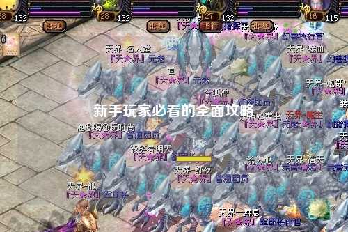 新手玩家必看的全面攻略