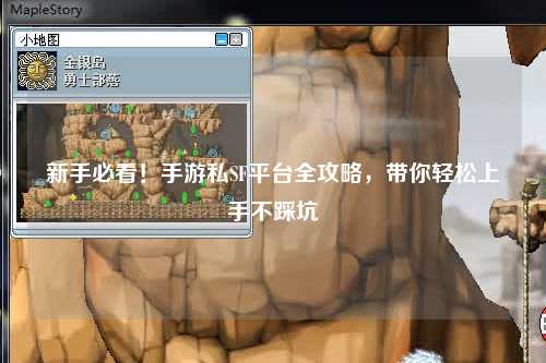 新手必看!手游私SF平台全攻略,带你轻松上手不踩坑