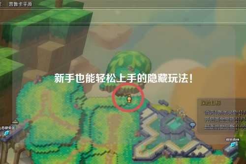 新手也能轻松上手的隐藏玩法!