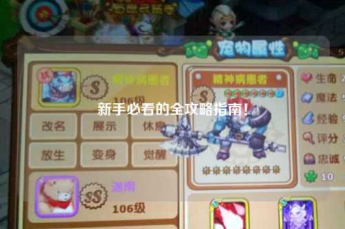 新手必看的全攻略指南!