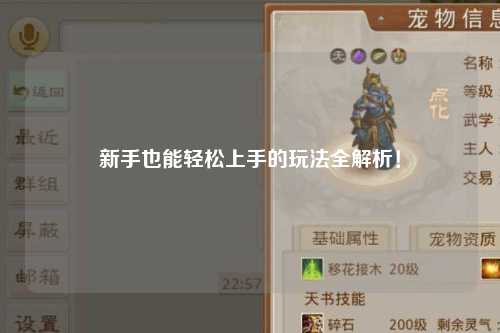 新手也能轻松上手的玩法全解析!