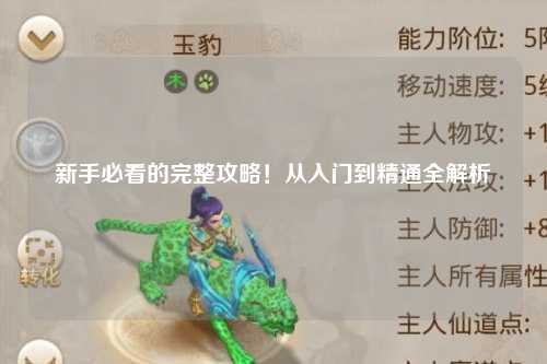 新手必看的完整攻略！从入门到精通全解析