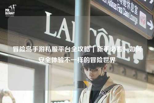 冒险岛手游私服平台全攻略｜新手必看！如何安全体验不一样的冒险世界