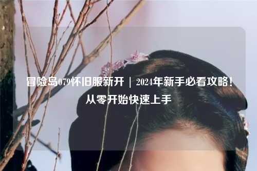 冒险岛079怀旧服新开 | 2024年新手必看攻略!从零开始快速上手